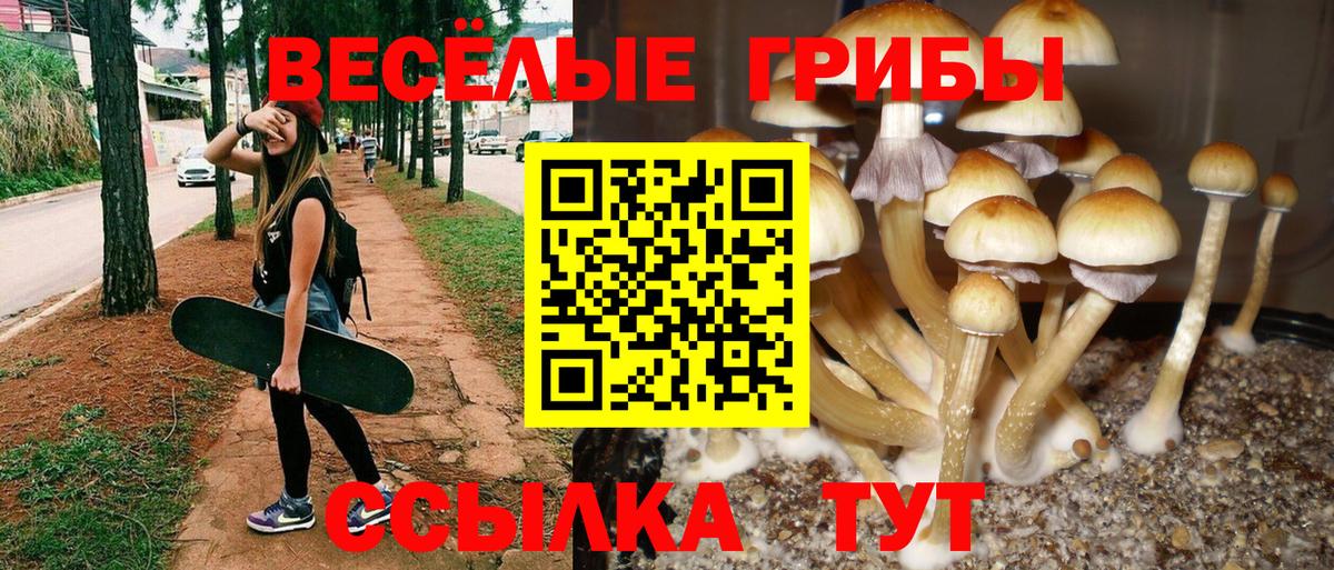 Омск  Псилоцибиновые грибы мухоморы  Вход с VPN 